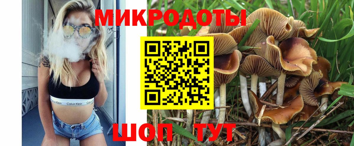 Сосновоборск  Галлюциногенные грибы прущие грибы  Галлюциногенные грибы ЛСД  Вход с VPN 